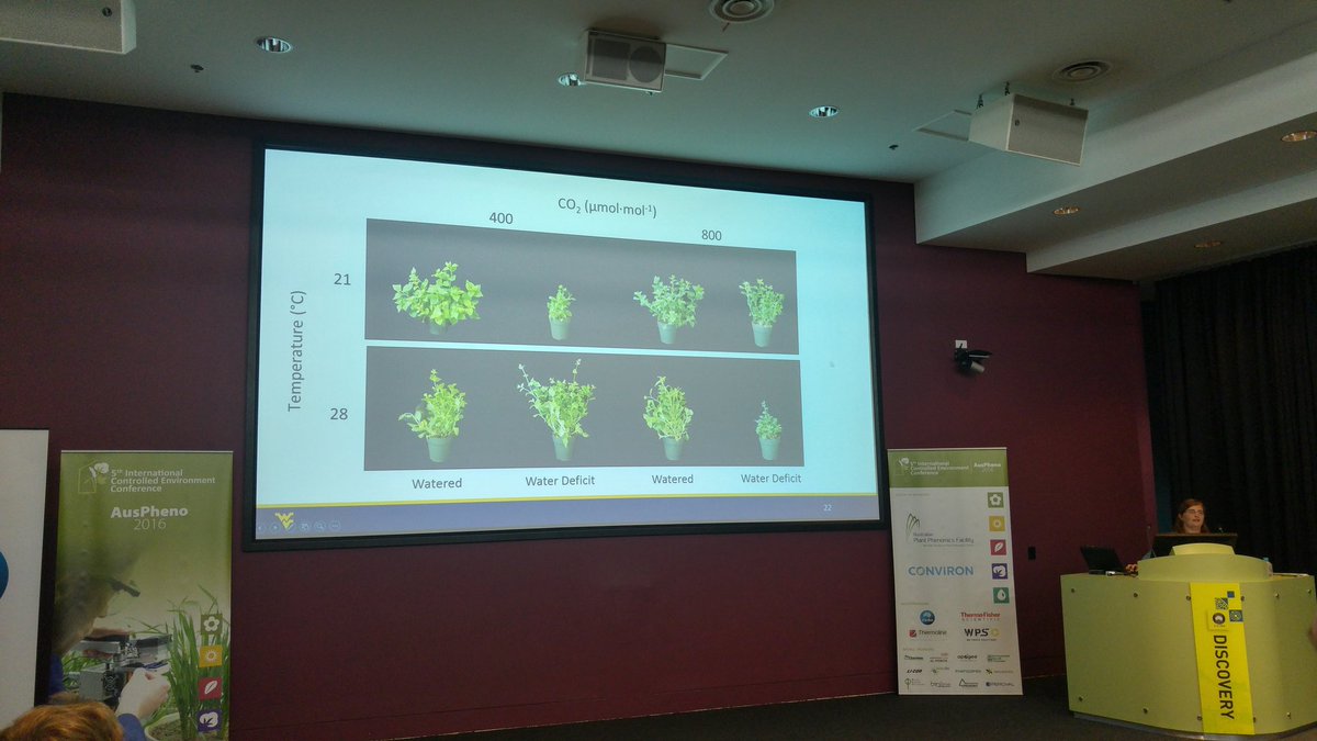 AusPheno Conference tweet media