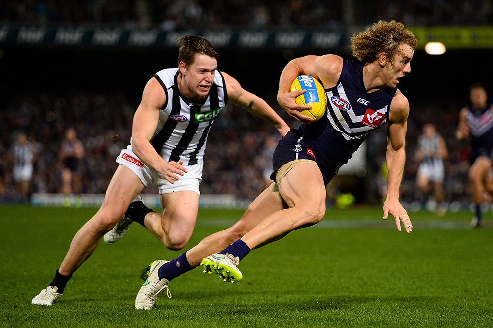 CollingwoodFC's tweet photo. Could this Docker be ready to wear Black + White? https://t.co/gJpin3gbXC #piesinprint has the latest. #gopies https://t.co/0ZY3vJfJYQ