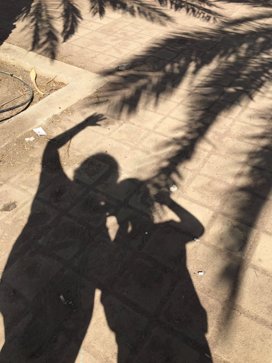 KESBreakingNews's tweet photo. GJV experimenting with shapes and shadows at Salwa Park. #KES #GreenUnit #Scienceshadows https://t.co/221HhL7Ujo