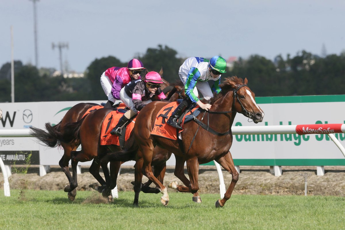 NZ Racing News (@nzracingnews) on Twitter photo Promising #Snowdrop nearing a return for <a href="/PikeRacing/">Pike Racing</a> <a href="/WaikatoStud/">Waikato Stud</a> racingnews.rocketspark.co.nz/blog/post/1239… Promising #Snowdrop nearing a return for <a href="/PikeRacing/">Pike Racing</a> <a href="/WaikatoStud/">Waikato Stud</a> racingnews.rocketspark.co.nz/blog/post/1239…