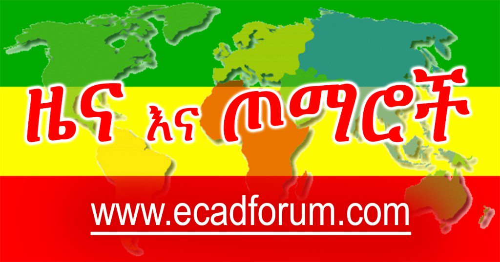 ECADF's tweet photo. ህወሓት/ኢህአዴግ ከስልጣን ይውረድ፣ የሽግግር መንግስት ይቋቋም (ከትግራይ ተወላጆች የተሰጠ መግለጫ) https://t.co/febqZJExT3 https://t.co/WBtmMEn6nN