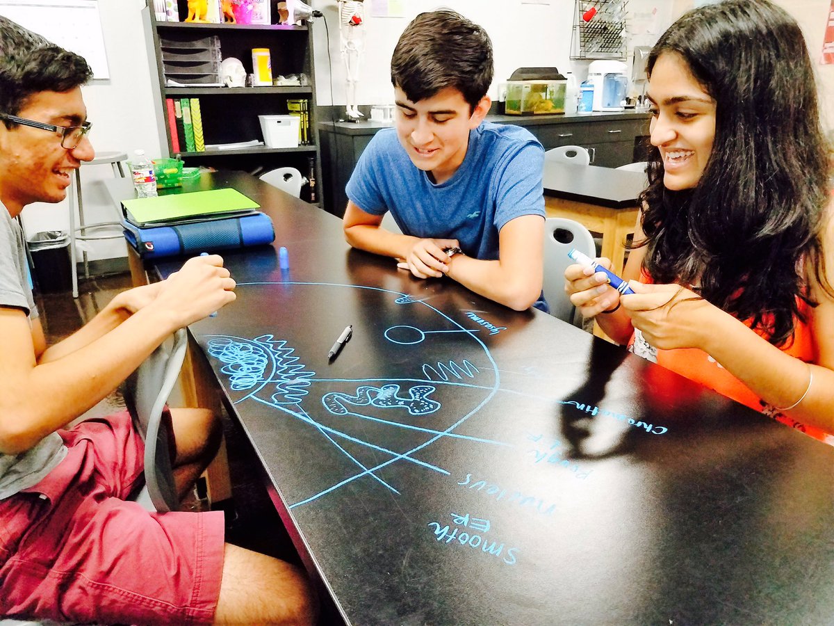 BASISSAMEDICAL's tweet photo. #BiologyStudents drawing the pathway a protein follows to make its way out of the cell!
#BASISstudents https://t.co/jwNbEZWZYe