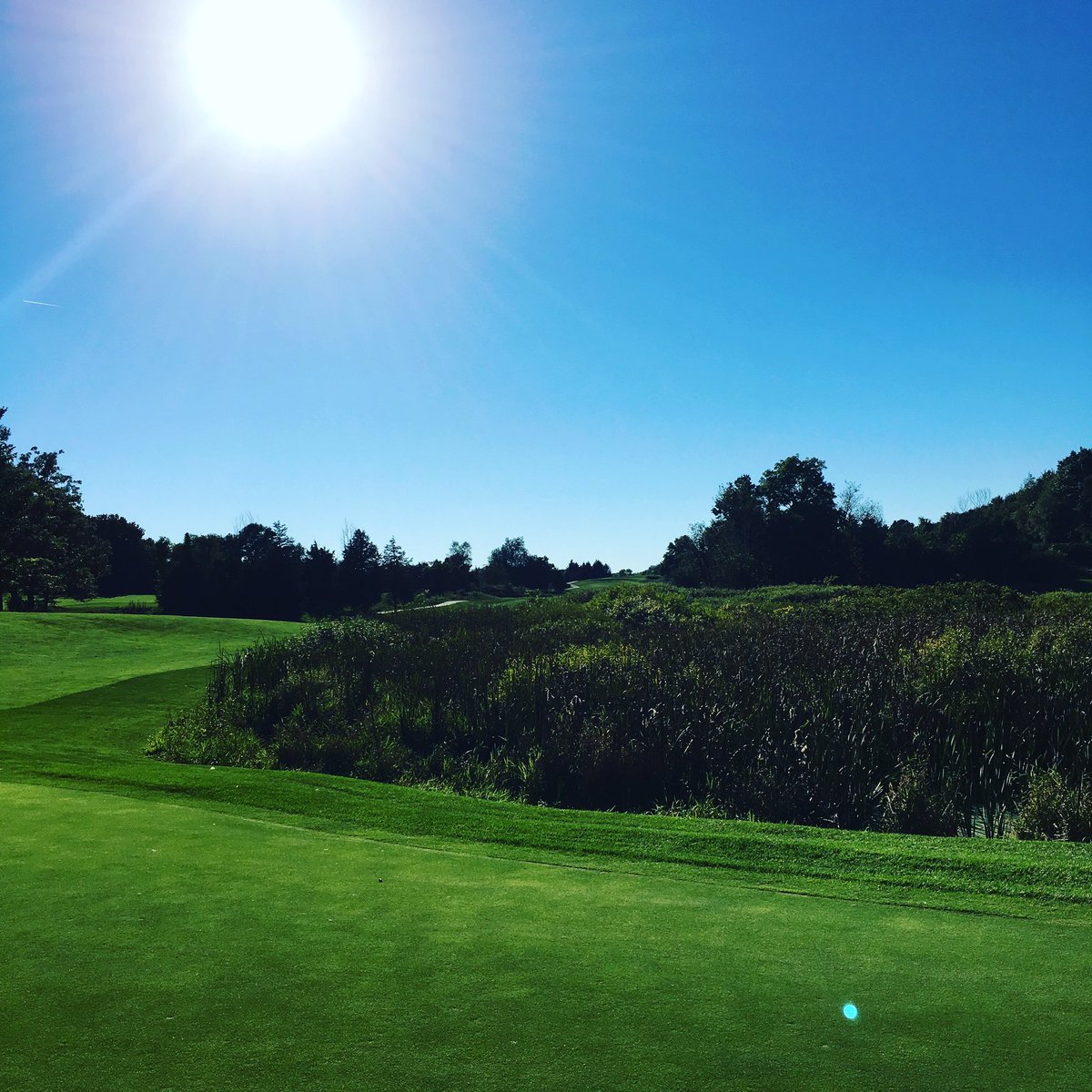SamerBawab1's tweet photo. Perfect weather today for some golf @MooseRidgeGolf with @Tegrit #golf #golfing #golfer #sunset #puremichigan #beautiful https://t.co/3pjWGC5wGl