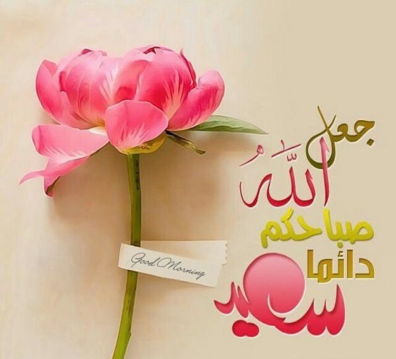 mahz___1 tweet picture