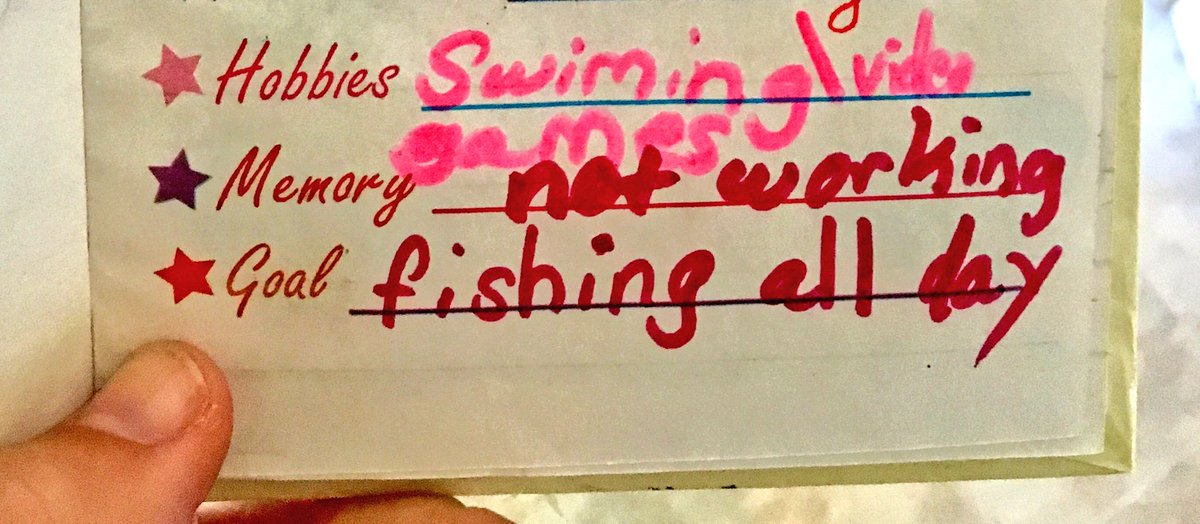 brennahogan10's tweet photo. A small excerpt from my 8-year-old self's diary https://t.co/enWzxMT1iL