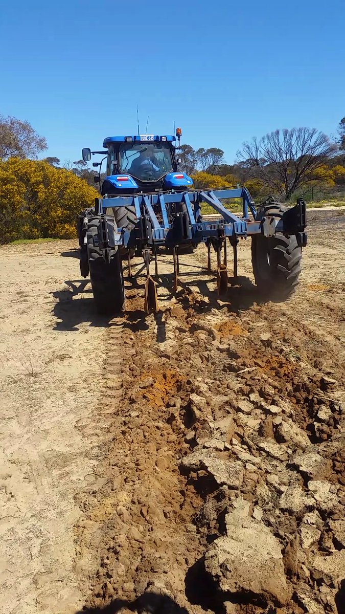 KylieRChambers's tweet photo. Glen Riethmuller in action demonstrating the deep ripper with inclusion plates #MerredinFD @DAF_WA https://t.co/Bap3hXGNcc