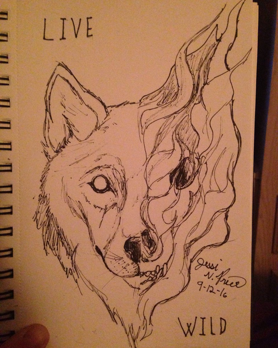 OldBonezX's tweet photo. Free spirit, wild life! #wolf #drawing #spirit #art #ink #micronpen #livewild #free #life #skull #lettering #undying https://t.co/au8USBfV71