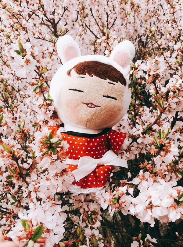 lovelyythingzz's tweet photo. [HONG KONG] @bobbydoll1001 밥토끼(Bob兔)
Order form: https://t.co/PkZWQdCgyH
PLZ RT! THX! https://t.co/ObzQ7aV6uO