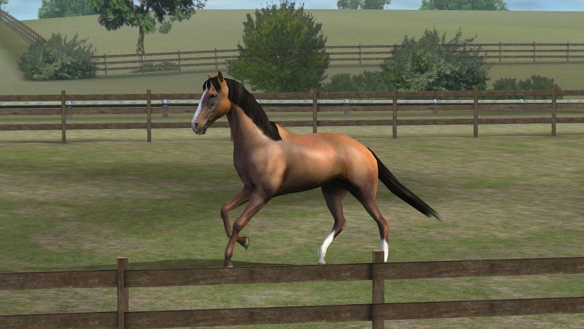 Houndology's tweet photo. Check out my photo! Add me, Ahnaliece. #MyHorse  https://t.co/X3NdhsICCV https://t.co/PX2C1t5k9Y