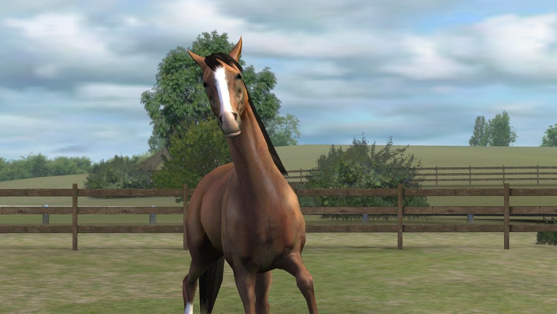 Houndology's tweet photo. Check out my photo! Add me, Ahnaliece. #MyHorse  https://t.co/X3NdhsICCV https://t.co/jc09JZddsK