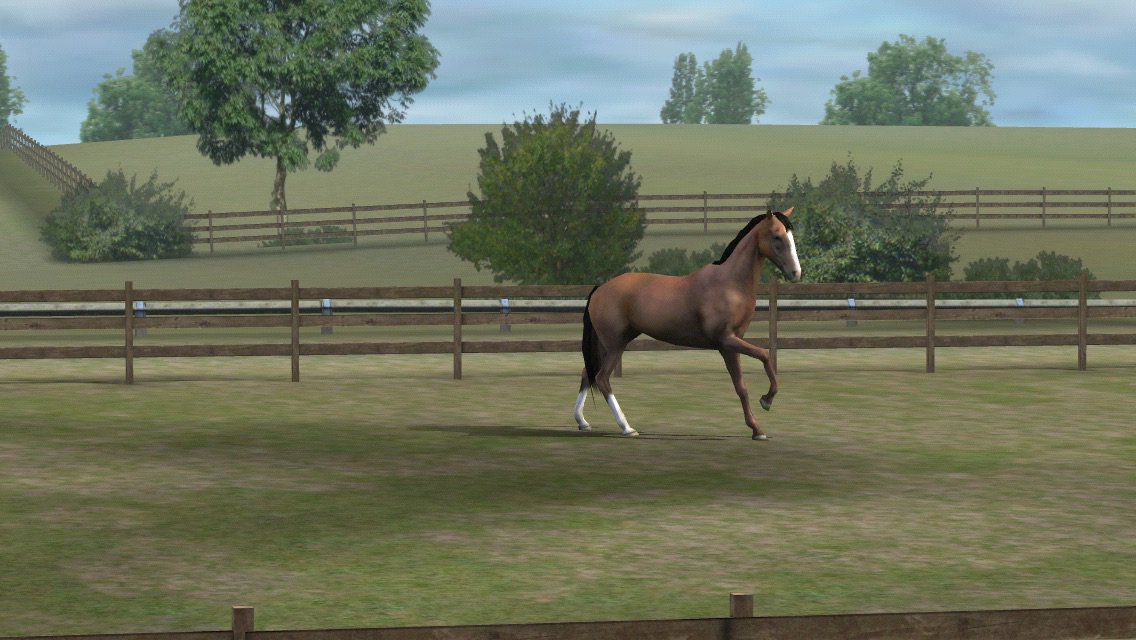 Houndology's tweet photo. Check out my photo! Add me, Ahnaliece. #MyHorse  https://t.co/X3NdhsICCV https://t.co/wDKznhKuV6