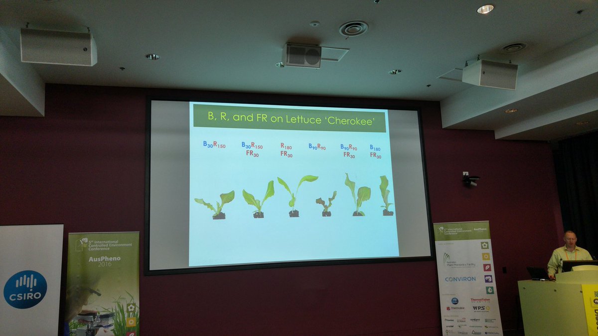 AusPheno Conference tweet media