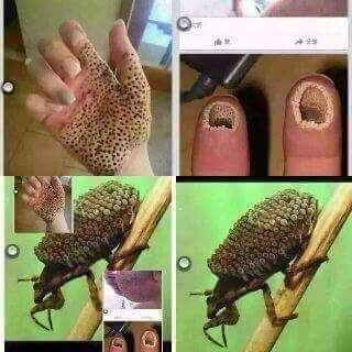 Toshibkhan4's tweet image. ☺☺☺☺