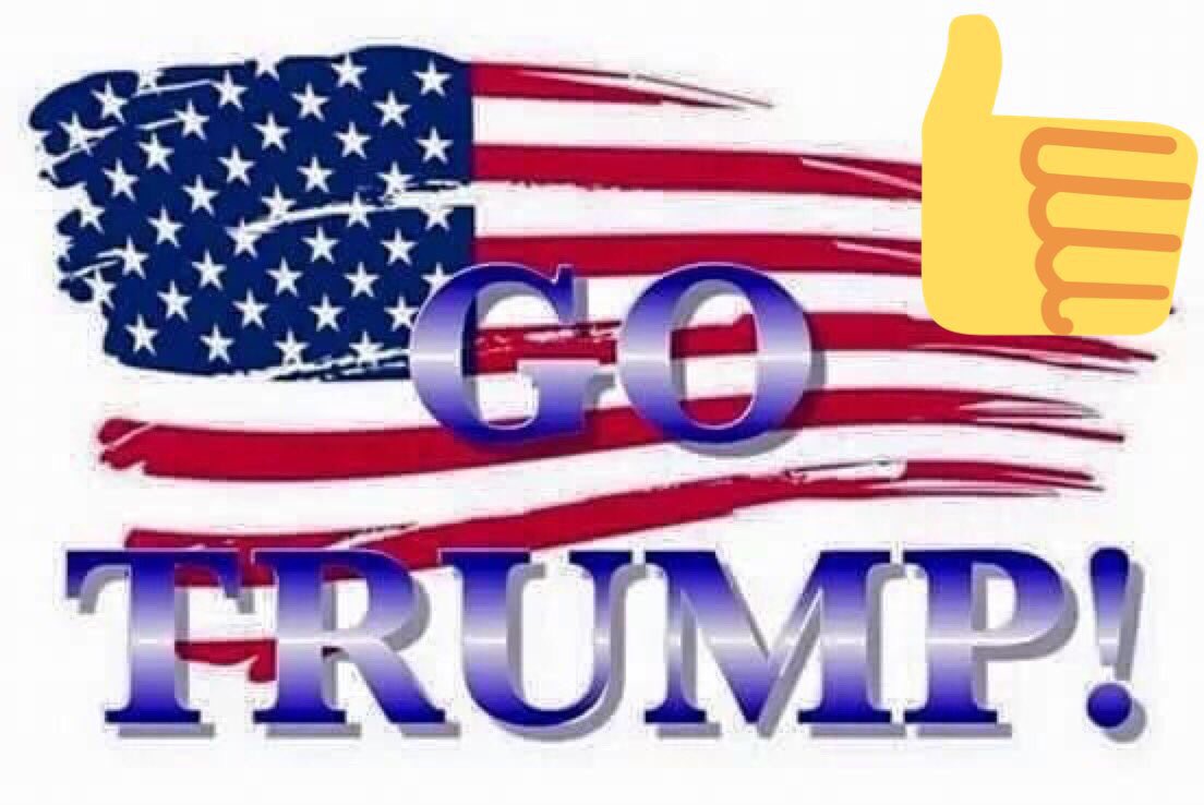 SteveBauer24's tweet photo. @HillaryClinton @timkaine @DNC #wakeupAmerica #StopDishonestHillary #TooSickHillary #crooked #neverhillary https://t.co/2YKytvKy2A