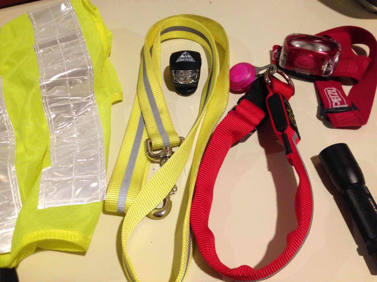 #nighttime #running #gear is coming out of the closet. <a href="/NiteIze/">Nite Ize, Inc.</a> collar, <a href="/Petzl/">Petzl</a> headlamp, reflective dog vest and leash, flashlight 🌙