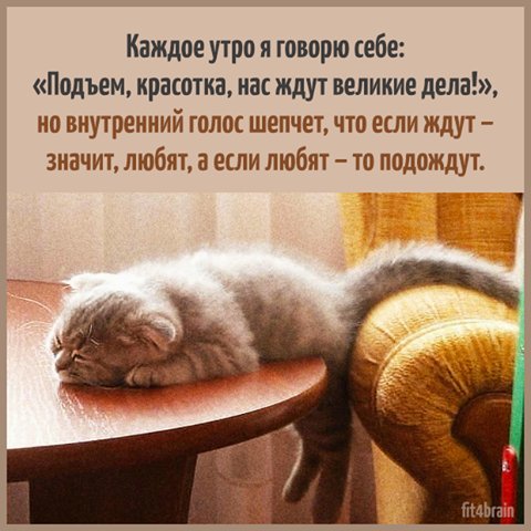 CoverdermRussia's tweet photo. Главное - утренний настрой 😂 https://t.co/0sUeiKTxVj