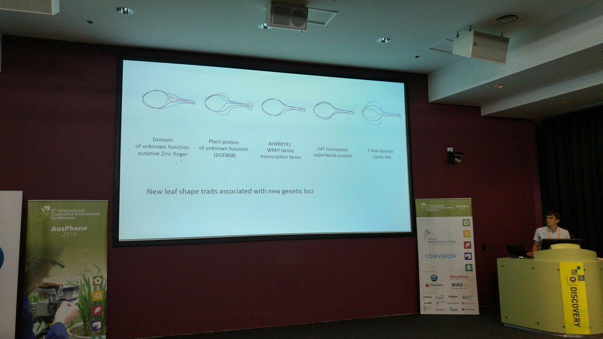 AusPheno Conference tweet media