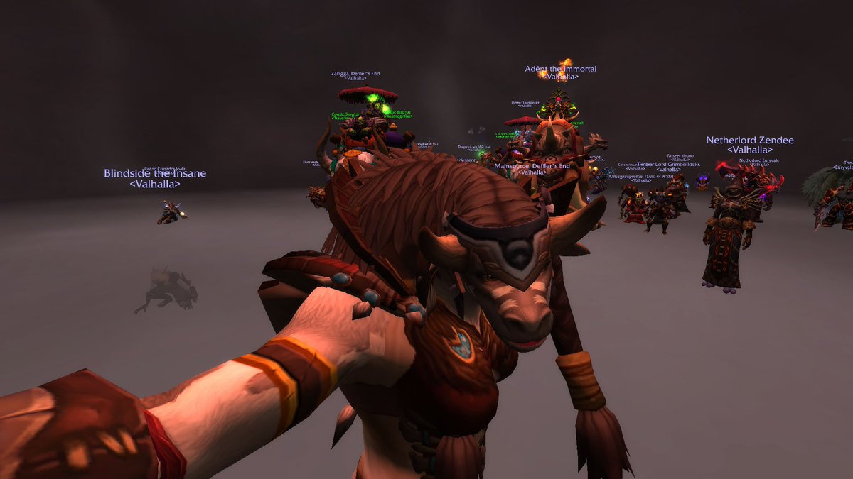 KeyonahZJ's tweet photo. Say hello to #Valhalla!  #valhallaguild #forthehorde https://t.co/MbrrmnDT4L