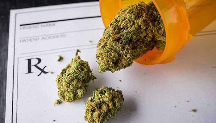 TheChillBud's tweet photo. Marijuana vs Tylenol for pain relief. https://t.co/Rl522h0oxg #cannabis #drugwar https://t.co/njgYCcu3l7