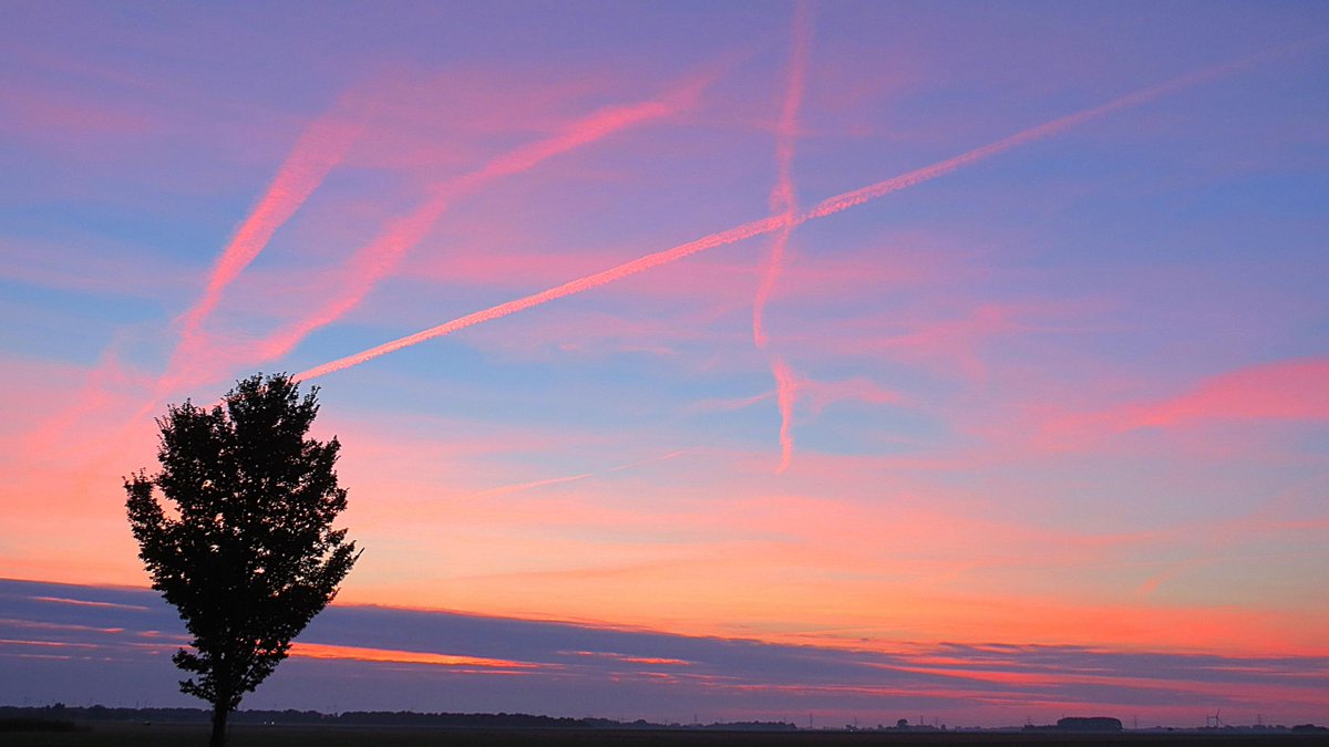 "We live in a beautiful world!" Roze zonopkomst: weerslag.nl/SatellietBuien… Foto <a href="/MeteoRoodescho1/">Meteo Roodeschool</a>