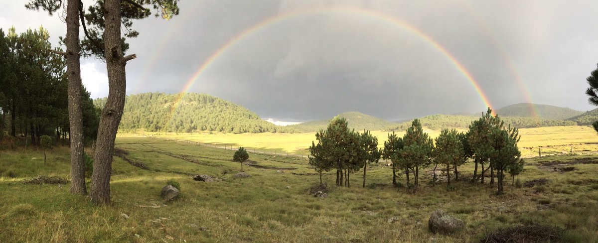 webcamsdemexico's tweet photo. Especacular arcoiris este martes visto desde Tlazala de Fabela, #EdoMex. Vía @Maurodri: https://t.co/hQiXMF91S2