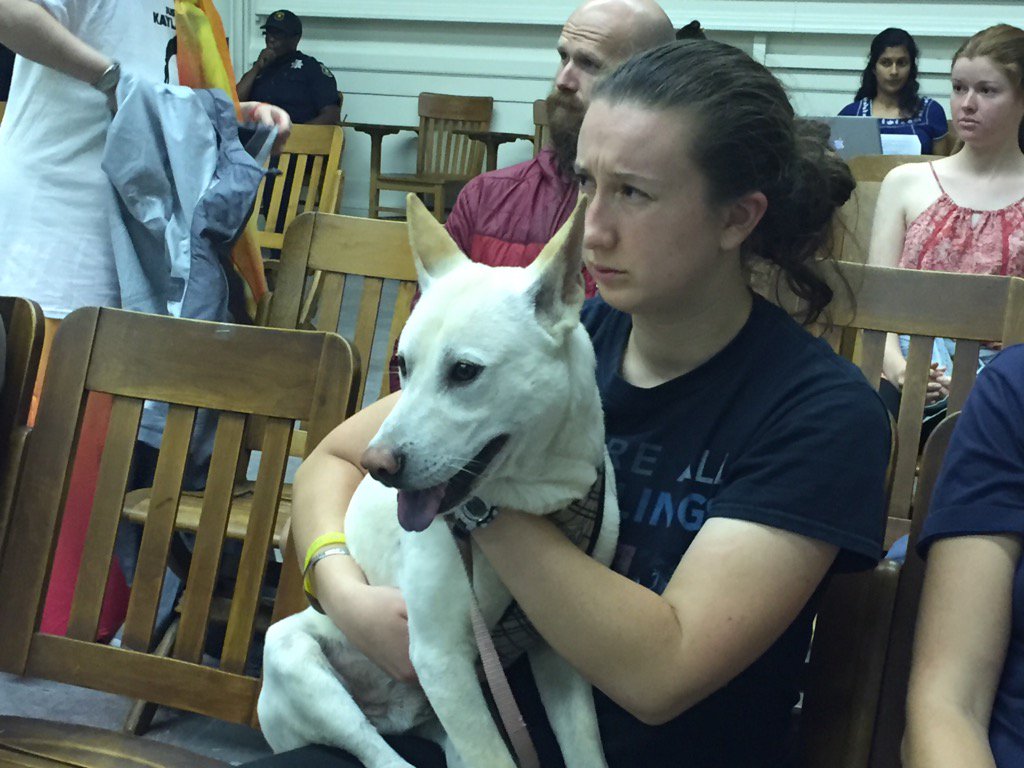 Oliver, rescued from Yulin, China Dog Meat Festival, appears at Berkeley City Council #berkmtg