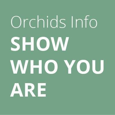 Discover your #orchidtype Are you an #Phalaenopsis #orchid? Find out which orchid fits your personality:bit.ly/2byyatl