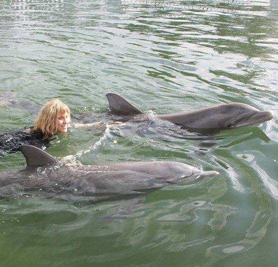 Christina_Pfei's tweet photo. #swimmingwithdolphins 🐬 @ #floridakeys #2011❤️ #usa🇺🇸 #eastcoast https://t.co/GdZ8zx7KKo