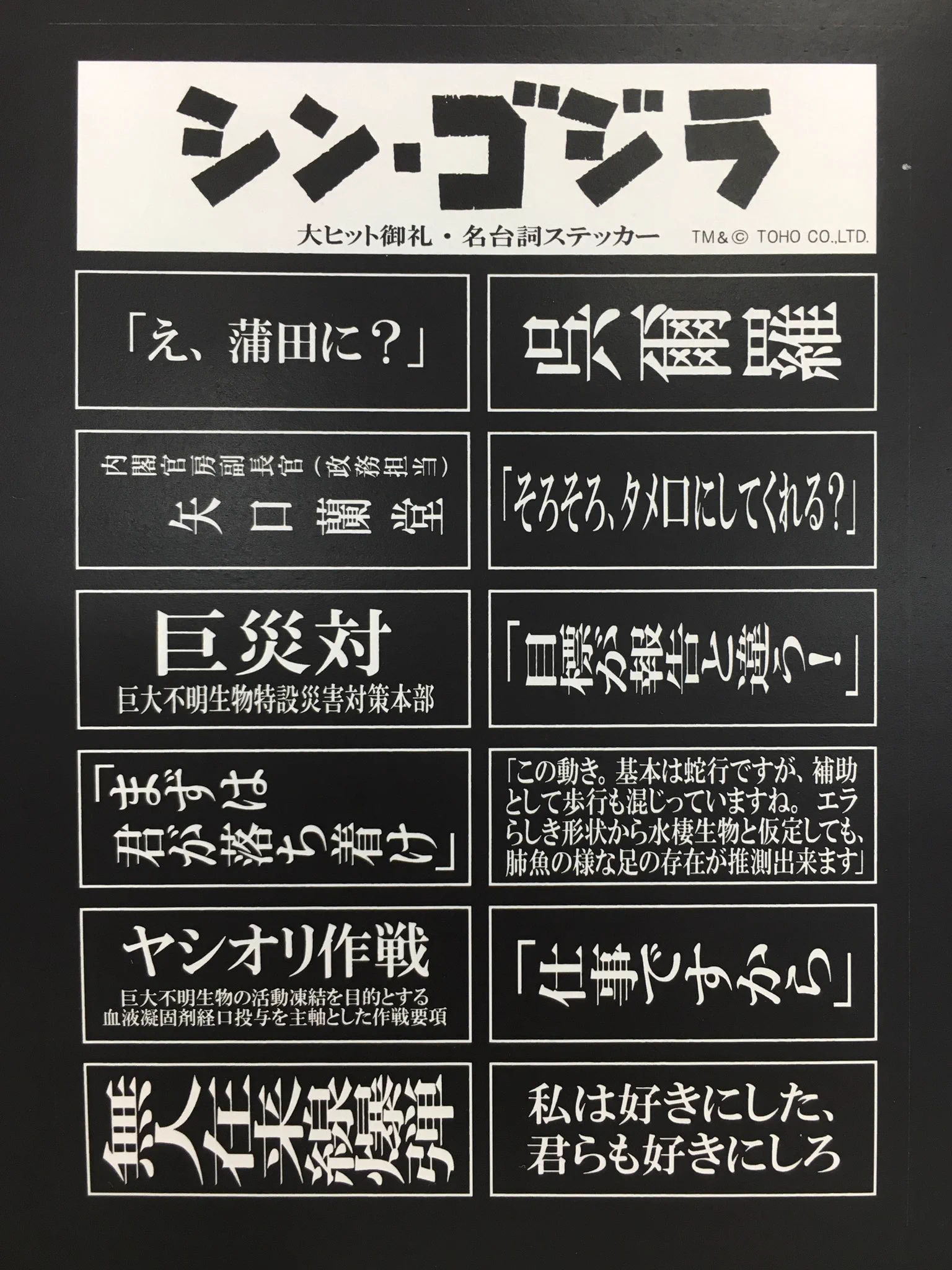 魚住陽向＝東京キャスケット舎 on X: 