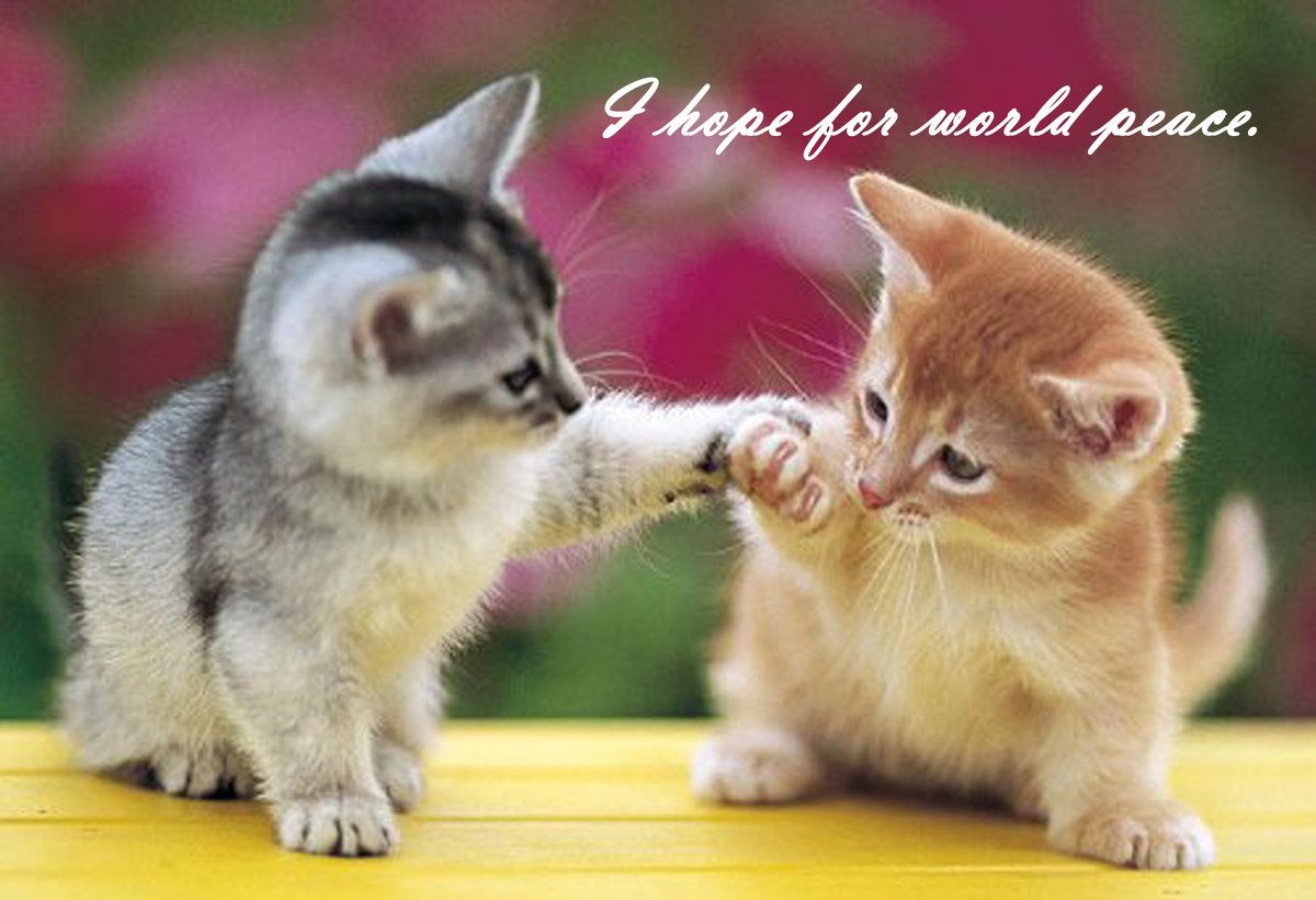 trs7968trs tweet picture