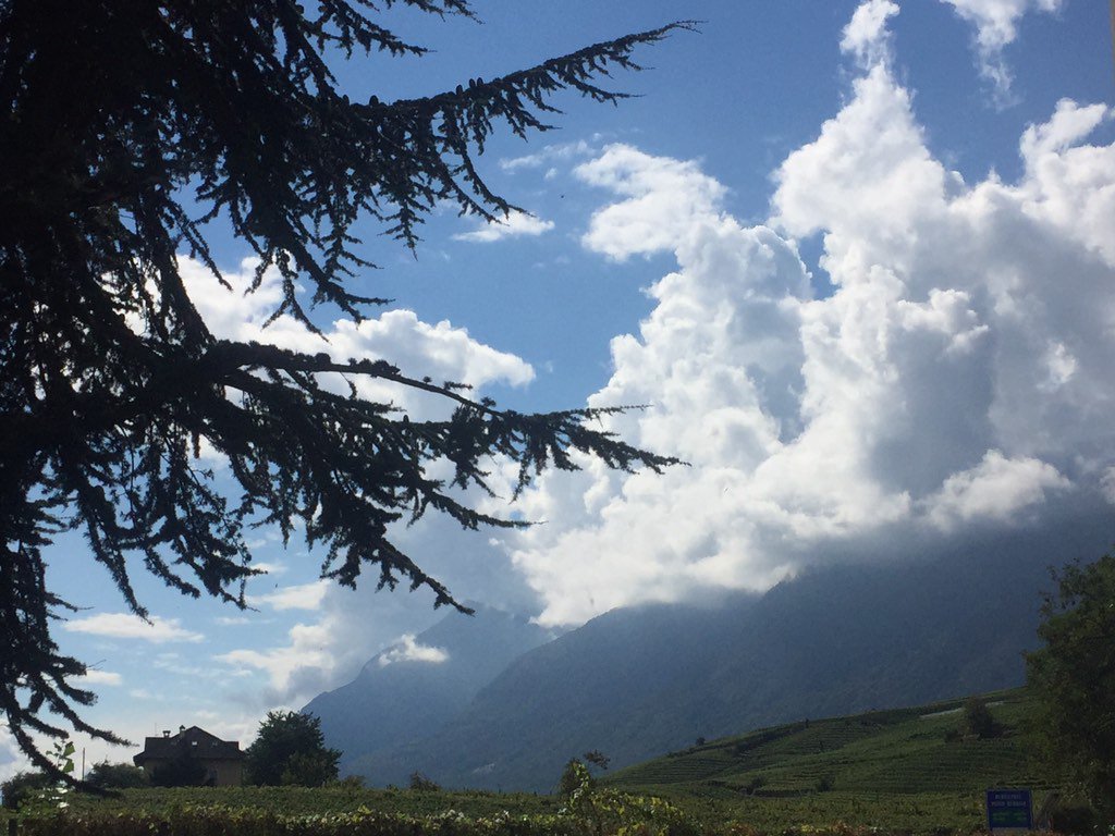 Guy Marchetti tweet media