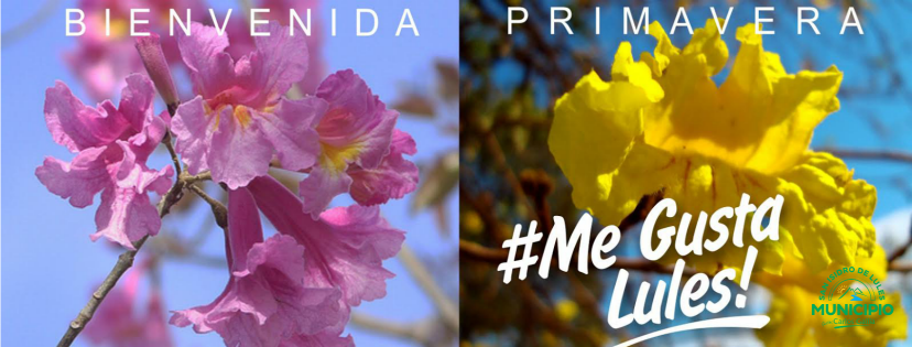 munilules's tweet photo. ¡Bienvenida Primavera!
#MeGustaLules porque florece en todos lados!...
¿y a vos por qué te gusta #Lules? https://t.co/jZA9FH0bvL