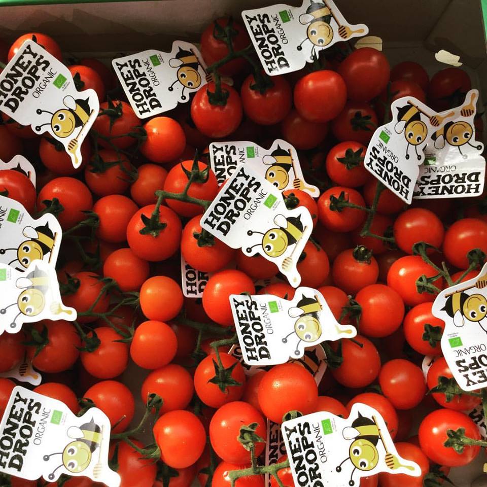 Archie Browns tweet media