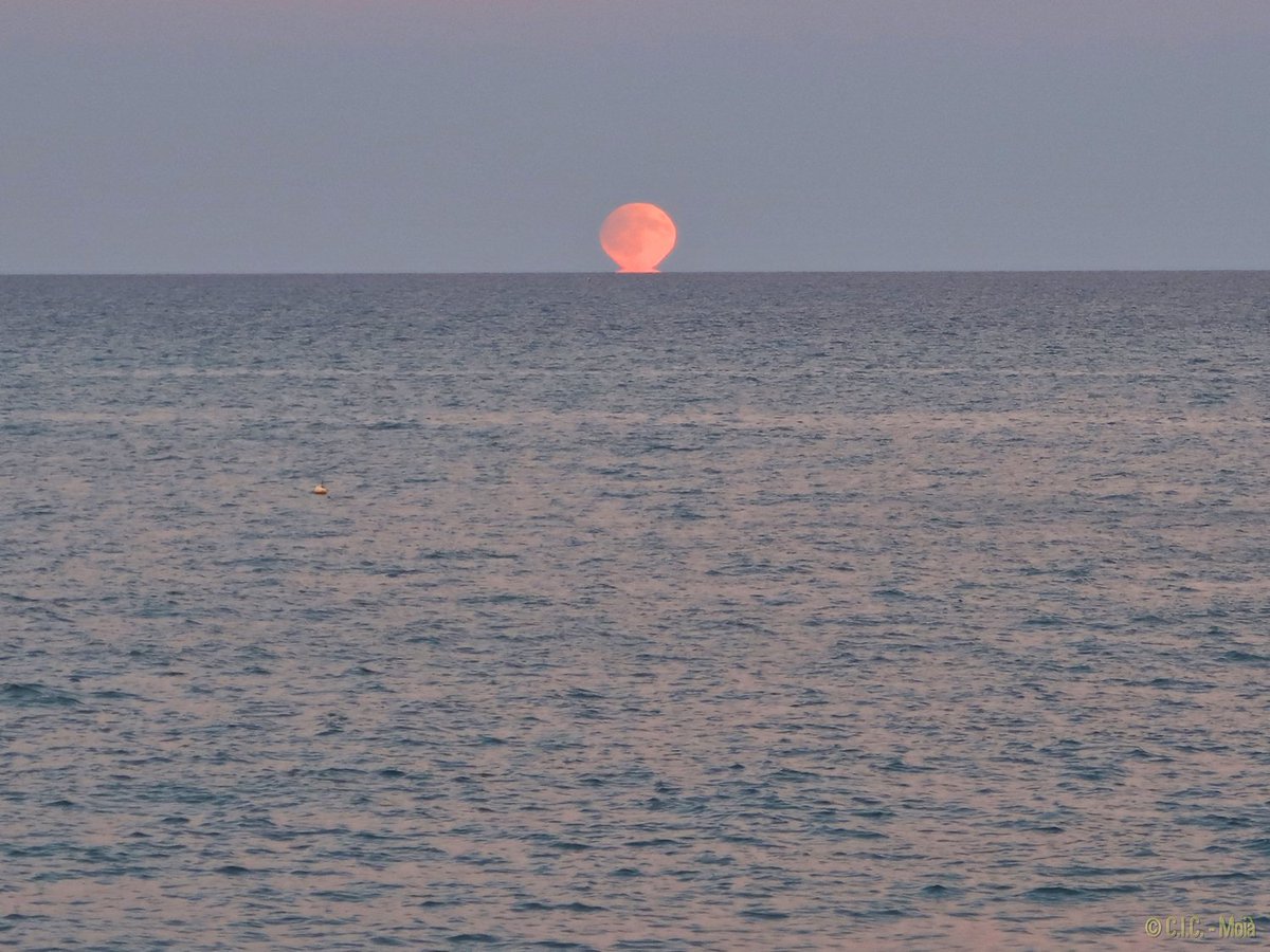 MeteoMoia's tweet photo. La #llunaPlena, última de l'#estiu2016 #Peñíscola @todopeniscola @_peniscola #324eltemps @meteocat @eloicordomi @nestor_meteo @meteo8aldia https://t.co/RtWTkgRj9O