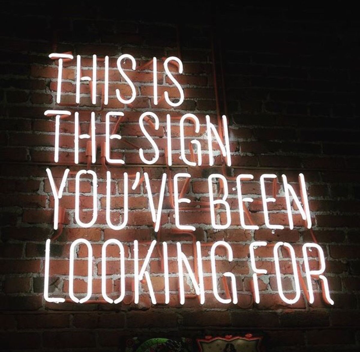 TV Presenter Ria Hebden tweet media