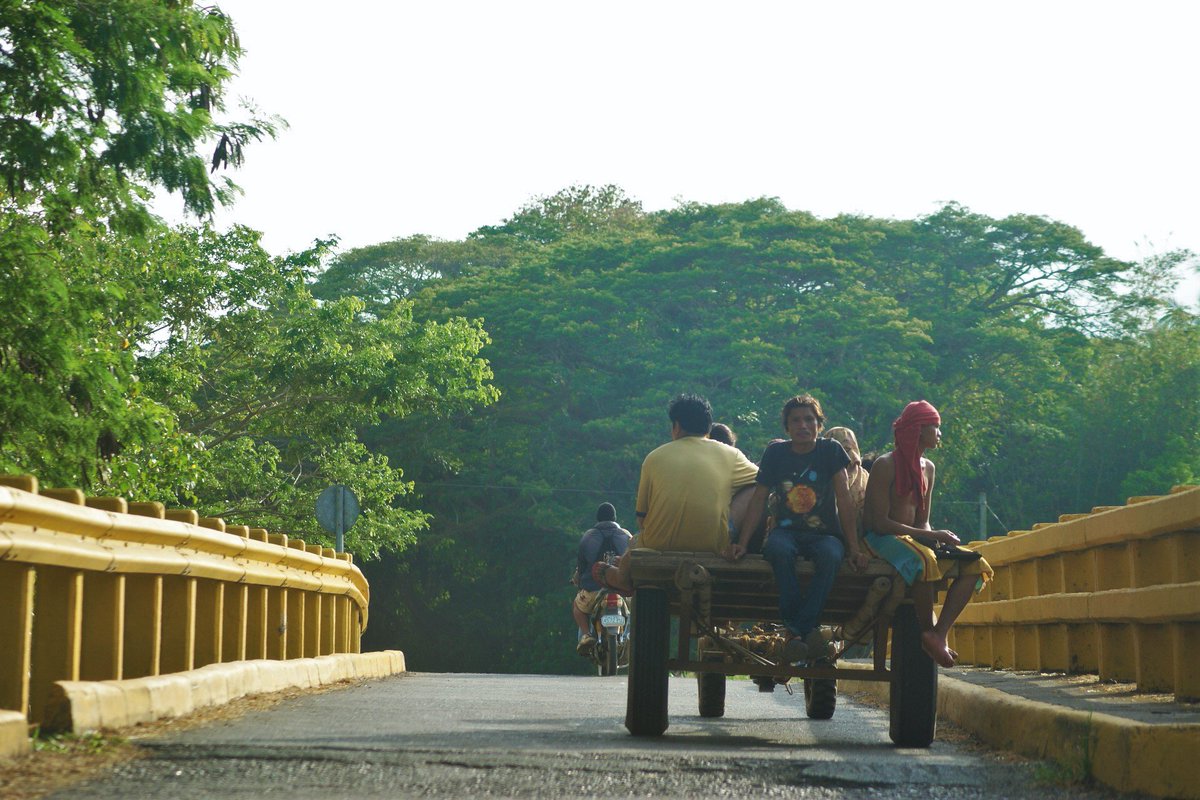 PIA MIMAROPA tweet media