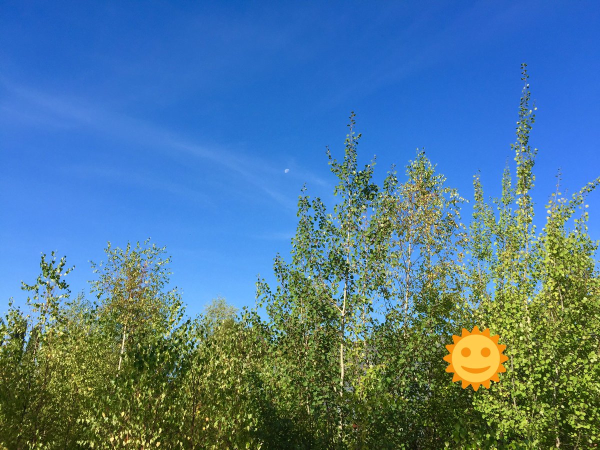 Noch irgendwelche Fragen zum heutigen Wetter ? 😎