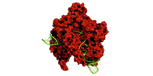 Nature's tweet photo. Titanic clash over CRISPR patents turns ugly https://t.co/Bqf0x1T0Bl https://t.co/wI2X75gFbu
