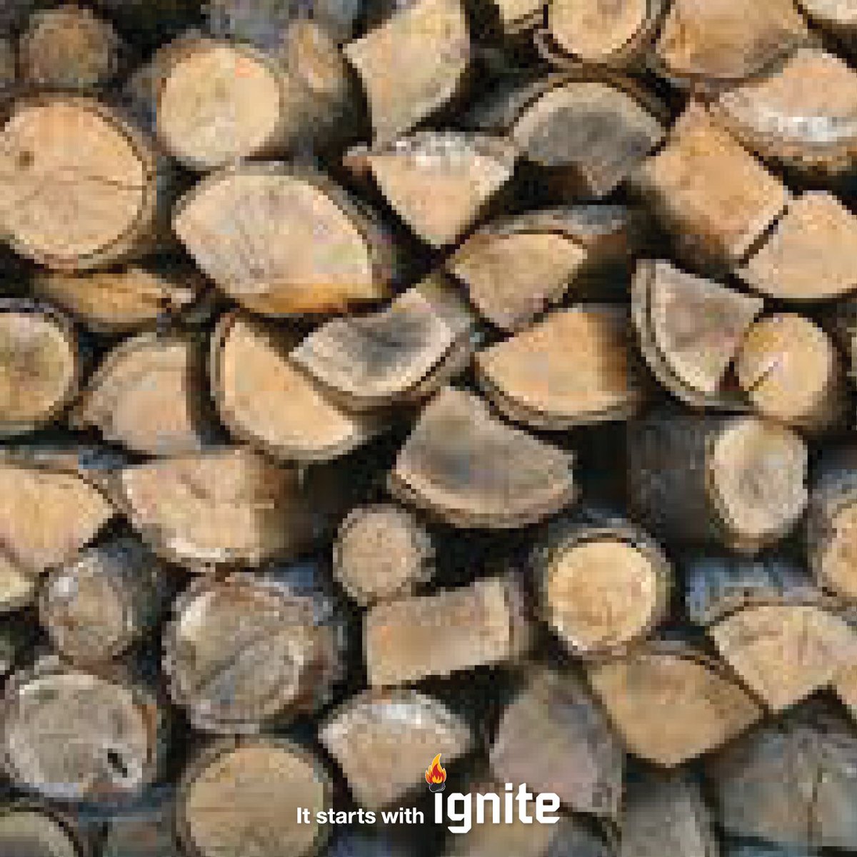 Ignite Products tweet media