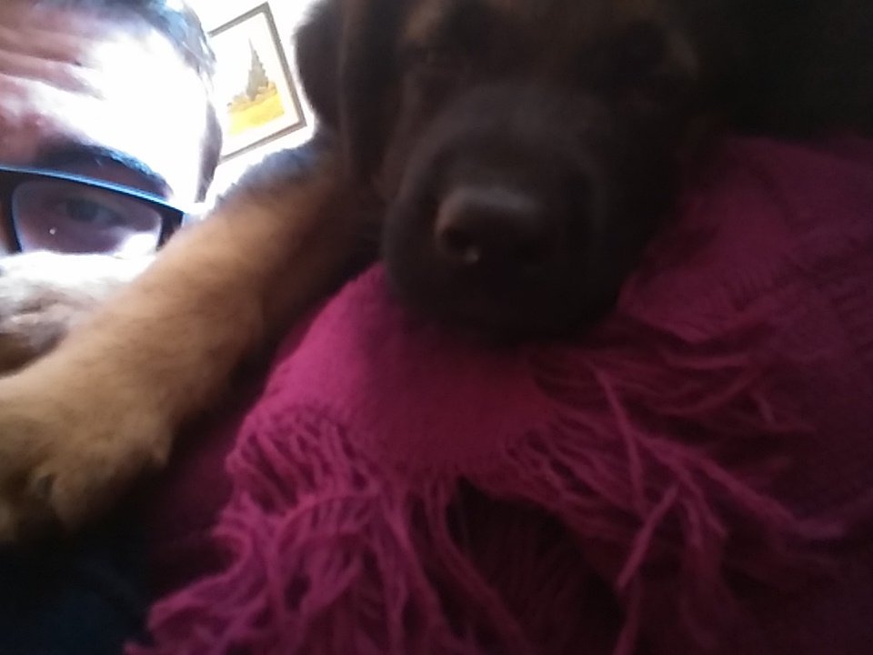 QuinoneroLR's tweet photo. Bien venido a la family Zeus!! https://t.co/2t4GDPP5uw