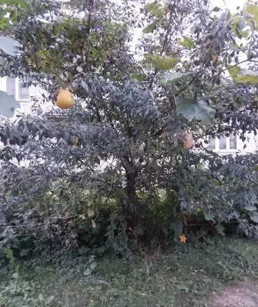 Заседание Трехсторонней контактной группы по Донбассу началось в Минске, - Олифер - Цензор.НЕТ 9647