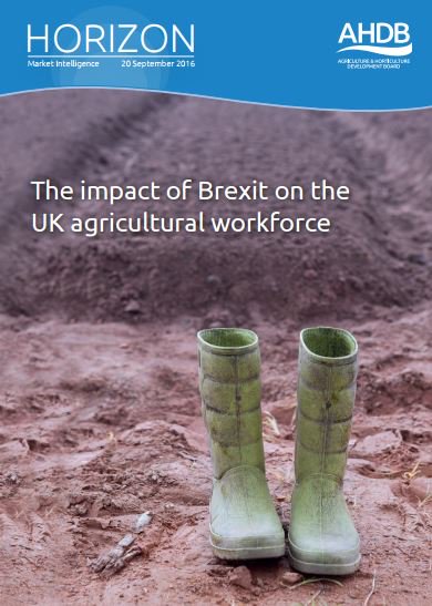 'Impact of Brexit on the agricultural workforce' covered in a new <a href="/TheAHDB/">AHDB</a> report bit.ly/2cJ7A2D