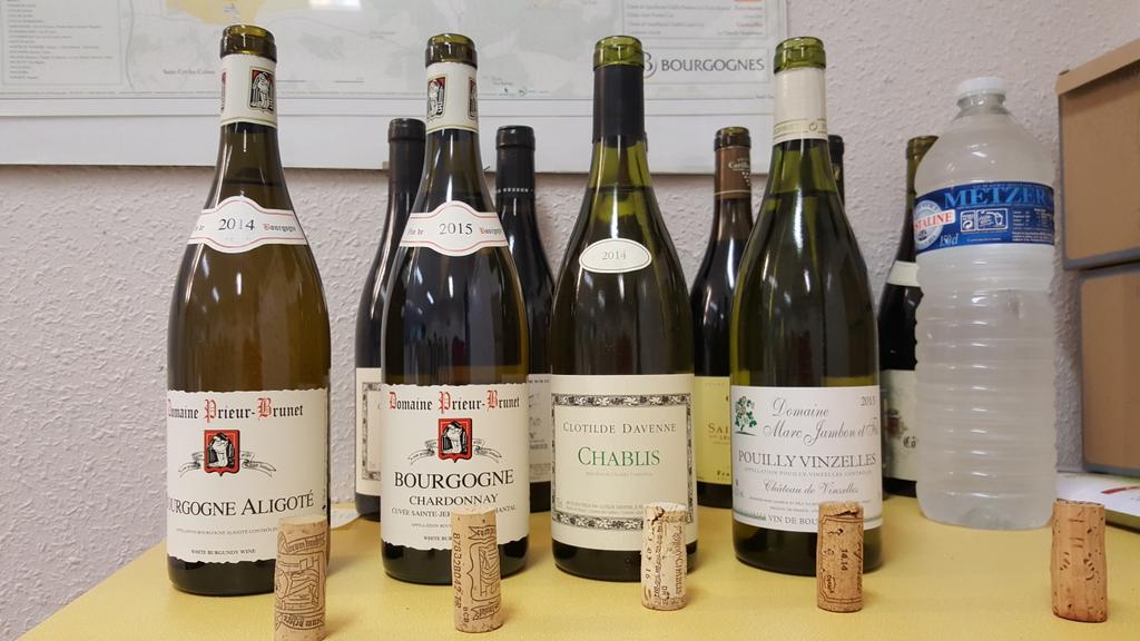 #winetasting international students Odyssey in Burgundy #vitibeaune #philippemeyroux <a href="/BourgogneAujou1/">Bourgogne Aujourd’hui</a> great story