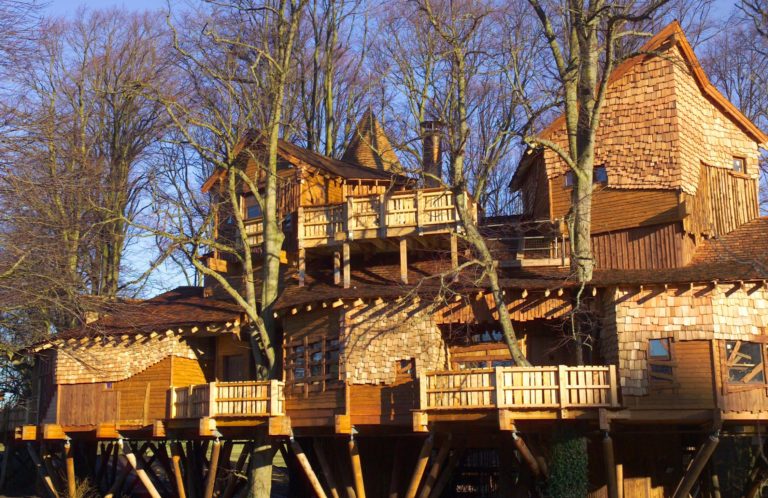 oystereco's tweet photo. @Kevin_McCloud Could this be the largest #treehouse ever built? https://t.co/2fchjRvmA6