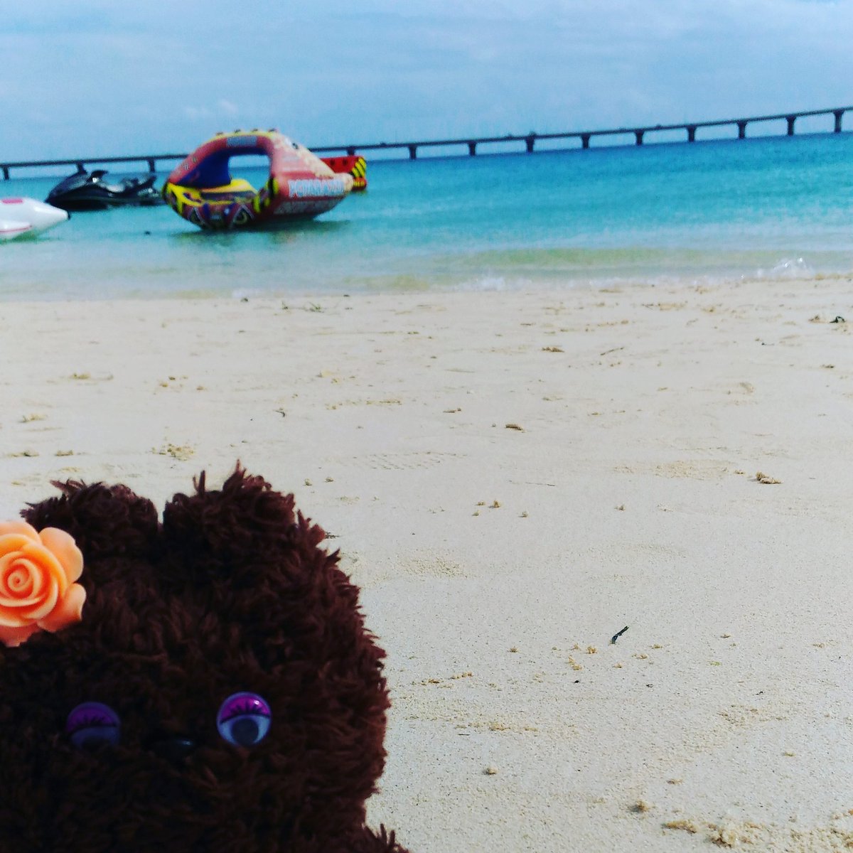 route_168's tweet photo. 海きれいー #猫 #cat #ぬいぐるみ #沖縄 #宮古島 #旅行 #ぬいぐるみと撮り隊 #ぬいどり #ぬい撮り #ぬい撮り部 #海 https://t.co/TUSX5ReSuA
