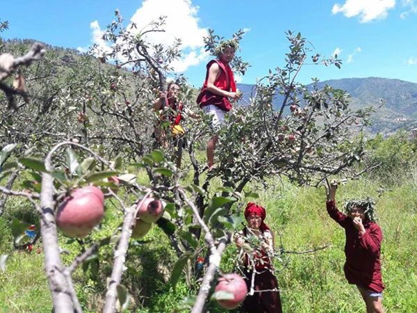Phajoding's tweet photo. Phajoding monks picking organic apples in Thimphu #gnh #organic #bhutan #sustainability #buddhism #monastery https://t.co/m7iflswsPT