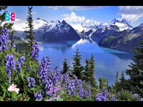 EmpireOfRelax's tweet photo. https://t.co/Kqw8U28Mmh --> #Meditation Music for Positive Energy: ... #Energystr #Healing #HealingMusic https://t.co/jQ9uMfQfXC