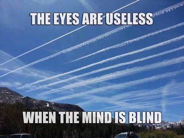 OpChemtrails tweet media