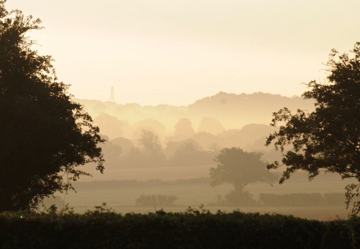 countrymousie's tweet photo. @BBCWthrWatchers great start here after rain overnight, then it went all misty on us #suffolk #outinthesticks #bullishstart https://t.co/Js6jY6xFor