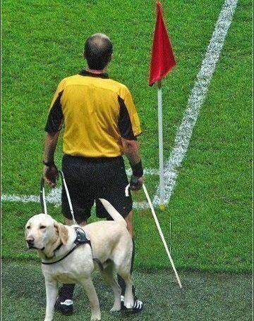 Y dijo herodes ; Imágen Inedita del juez de línea ayer en el derbi. #GuasaGorda #GuasaSevillana